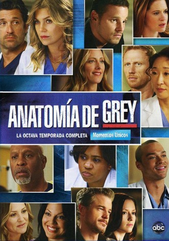 Grey s Anatomy Ver la serie de tv online