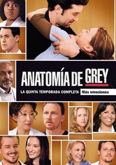 Anatomía de Grey