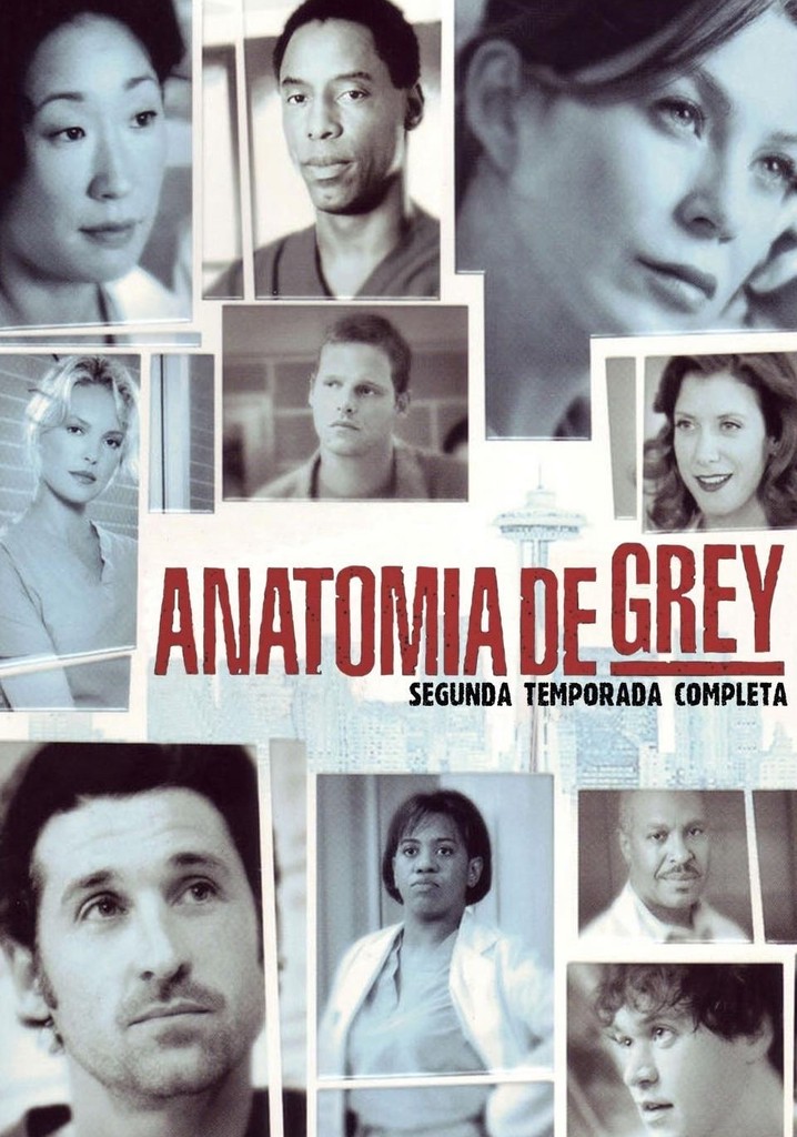 Anatomia De Grey Temporada 2 Castellano