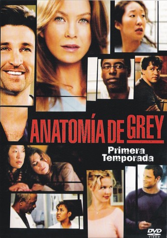 Grey s Anatomy Ver la serie de tv online