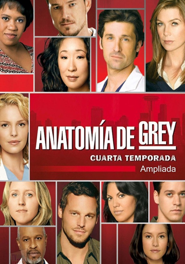 Ver Anatomia De Grey Temporada 4 Anatomía de Grey temporada 4 - Ver todos los episodios online