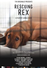 Rescuing Rex