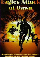 Eagles Attack At Dawn