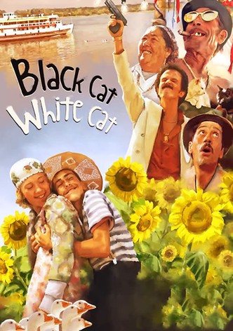 Black Cat, White Cat