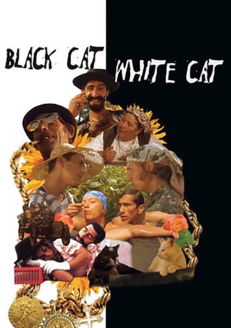 Black Cat, White Cat