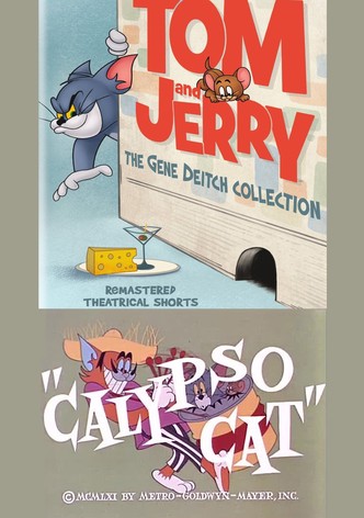Calypso Cat