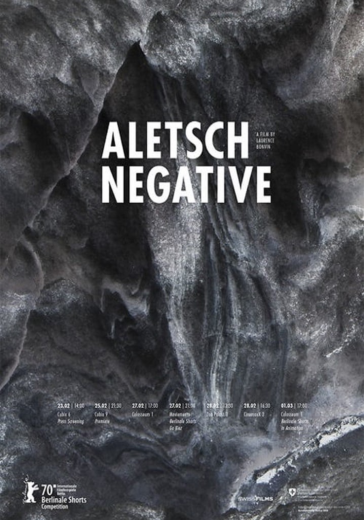 Aletsch Negative