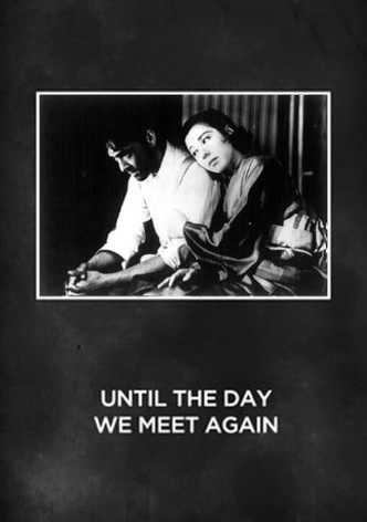 Until the Day We Meet Again