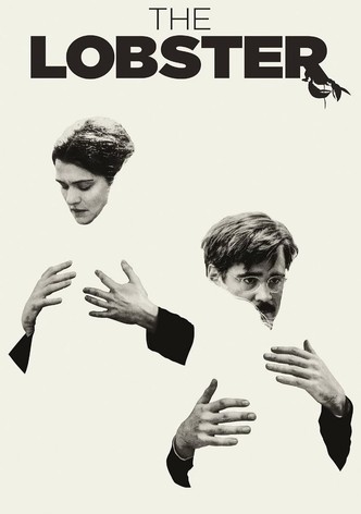 The favourite streaming sub on sale eng