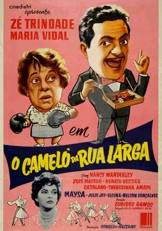 O Camelô da Rua Larga