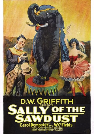 Sally fille de cirque