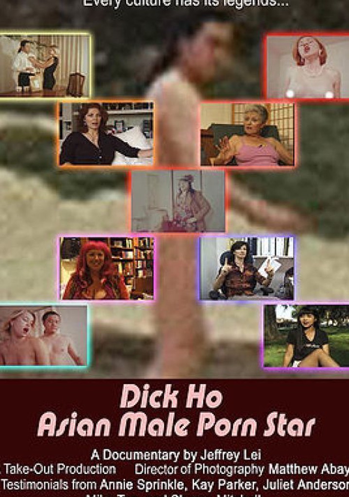 Dick Ho: Asian Male Porn Star