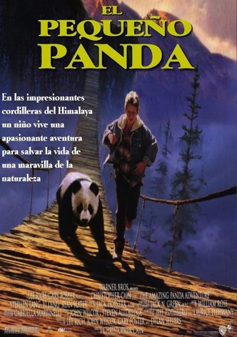 El pequeño panda