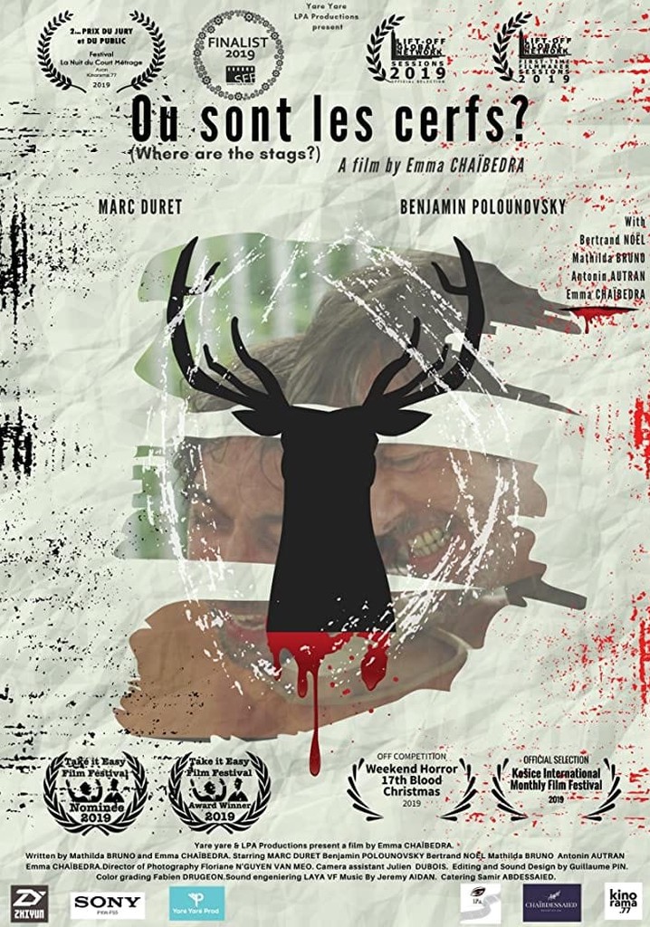 Où sont les Cerfs ?