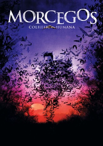 Morcegos - Colheita Humana