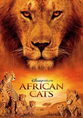 African Cats