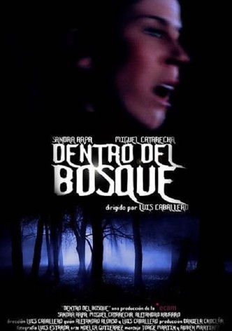 Dentro del bosque
