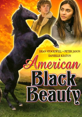 American Black Beauty