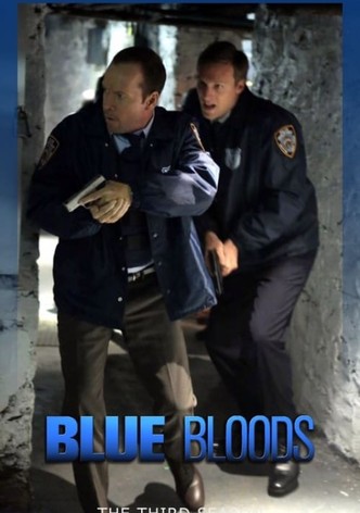 Blue Bloods - Staffel 3 [dt./OV]