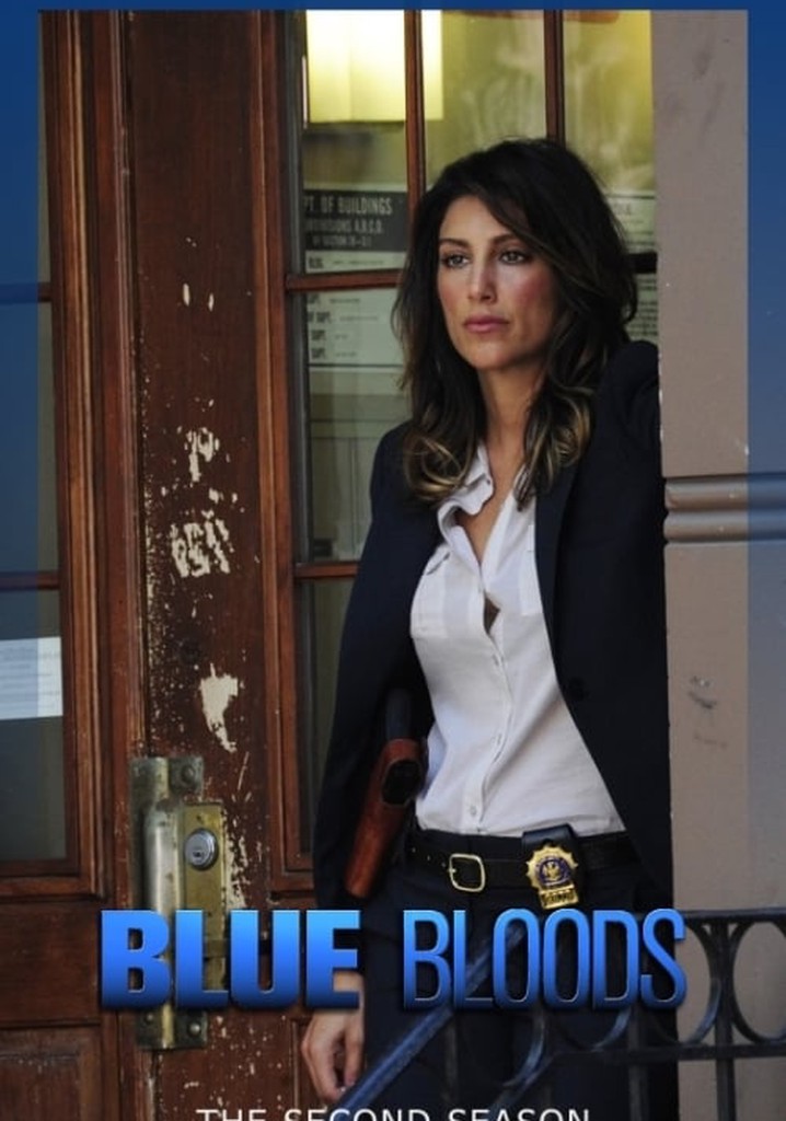 Blue Bloods Season 2 watch full episodes streaming online