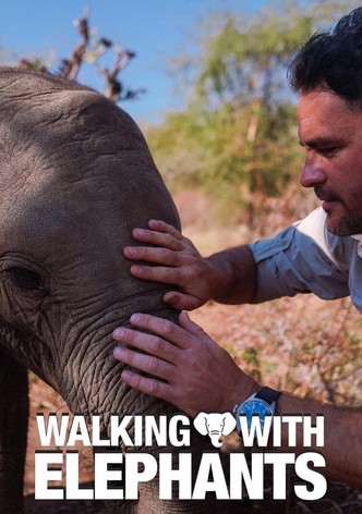 Walking With Elephants