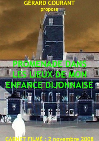 Promenade dans les lieux de mon enfance dijonnaise (Carnet Filmé: 2 novembre 2008)