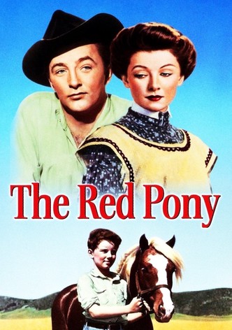 Tomin punainen poni
