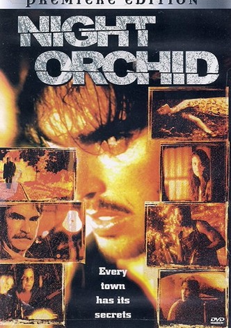 Night Orchid