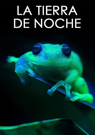 La Tierra de noche