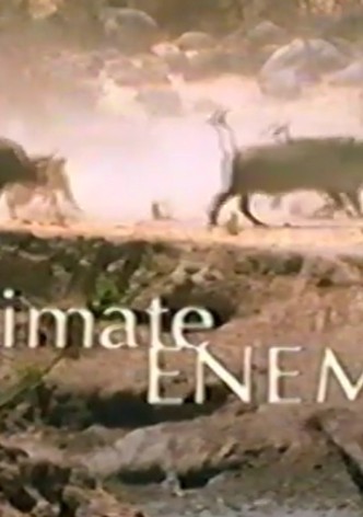 Intimate Enemies