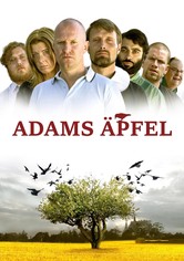 Adams Äpfel