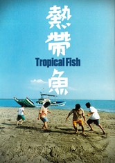 Tropical Fish