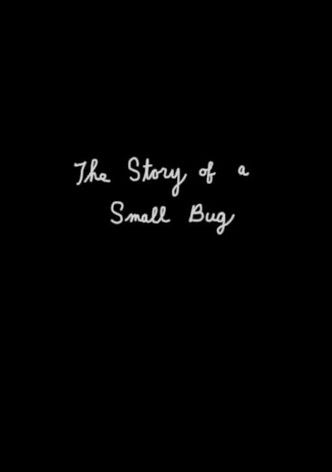 The Story of a Small Bug