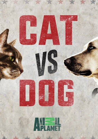 Cat vs. Dog