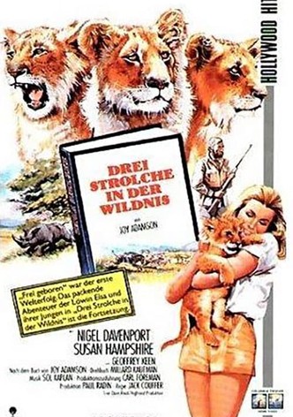 Drei Strolche in der Wildnis