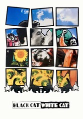 Black Cat, White Cat
