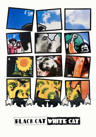 黒猫・白猫
