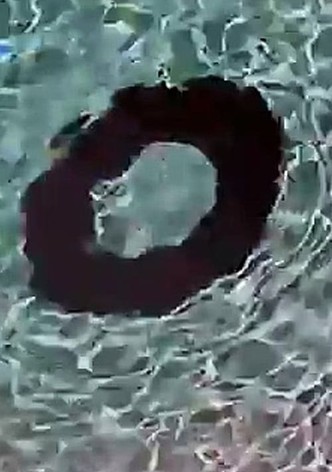 Donut