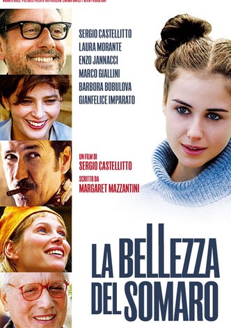 La bellezza del somaro