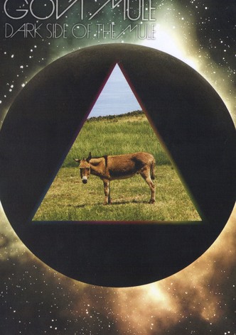 Gov't Mule - Dark Side of the Mule