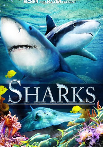 Sharks (French)