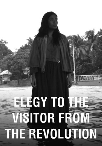 Elegy to the Visitor from the Revolution