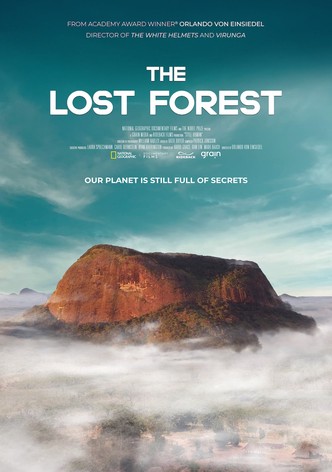 The Lost Forest