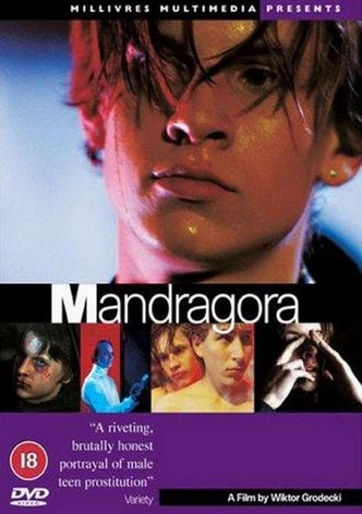 Mandrake