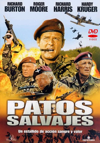 Patos salvajes