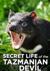 Secret Life of the Tasmanian Devil - Season 1