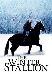 The Winter Stallion