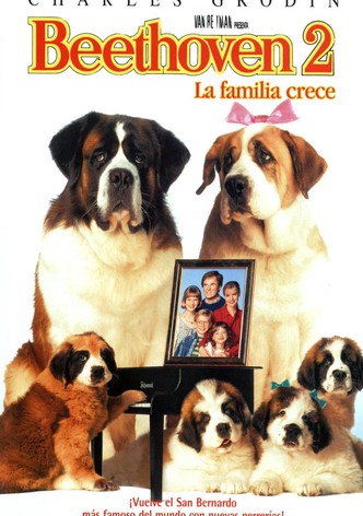 Beethoven 2: La familia crece