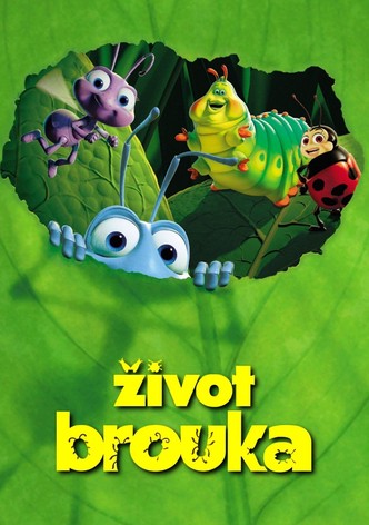 Život brouka