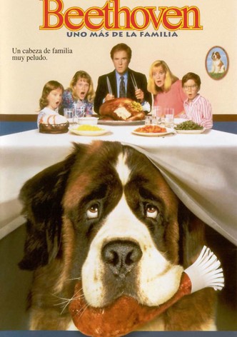 Beethoven: Uno más de la familia